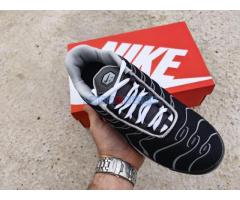 Nike Air Max Plus TN Greyscale Cool Grey - Fotografija 2/5