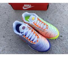 Nike Air Max Plus TN Color Flip