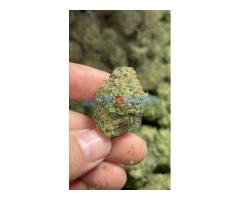 Kvalitetno ulje marihuane i marihuana